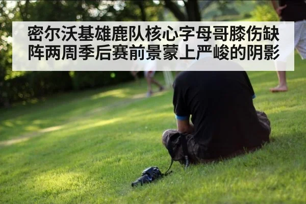 密尔沃基雄鹿队核心字母哥膝伤缺阵两周季后赛前景蒙上严峻的阴影