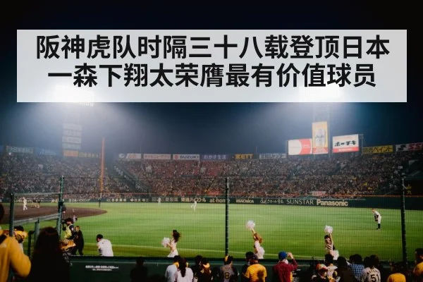 baseball stadium at night